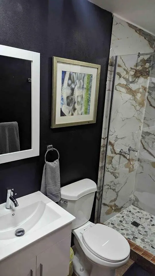Lejlighed Santurce Studio- Newly Renovated 2 San Juan Puerto Rico
